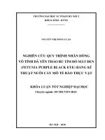 Khoá luận tốt nghiệp nghiên cứu quy trình nhân dòng vô tính dã yên thảo rủ tím đỏ mắt đen (petunia purple black eye) bằng kĩ thuật nuôi cấy mô tế bào thực vật 