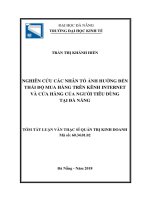 Nghiên cứu các nhân tố ảnh hưởng đến thái độ mua hàng trên kênh internet và cửa hàng của người tiêu dùng tại đà nẵng tt 