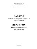 Báo cáo điều tra lao động và việc làm việt nam 1 9 2009 (NXB hà nội 2010)   cục thống kê, 348 trang 