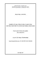 Nghiên cứu đặc tính lý hóa và khả năng hấp thụ curcumin của màng bacterial cellulose (Luận văn thạc sĩ)