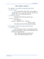BÁO CÁO THỰC HÀNH HÓA VÔ CƠ CROM MANGAN