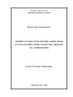 Nghiên cứu khả năng hấp phụ amoni, Mn(II) của đá ong biến tính và bước đầu thăm dò xử lí môi trường 
