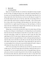 SKKN công tác chỉ đạo và quản lý ứng dụng công nghệ thông tin trong trường tiểu học hải vĩnh