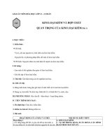 Giáo án Hóa học 12 bài 25: Kim loại kiềm và hợp chất quan trọng của kim loại kiềm