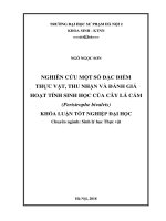 Nghiên cứu một số đặc điểm thực vật, thu nhận và đánh giá hoạt tính sinh học của cây lá cẩm (Peristrophe bivalvis)