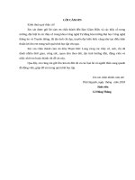 Thiết kế hệ thống diệt côn trùng sử dụng năng lượng mặt trời