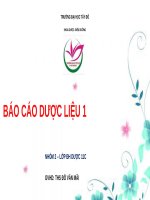 báo cáo sắc ký lớp mỏng