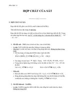 Giáo án Hóa học 12 bài 32: Hợp chất của sắt