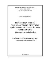 Khoá luận tốt nghiệp Hoàn thiện một số giai đoạn trong quy trình nhân giống in vitro cây hoa Cẩm chướng