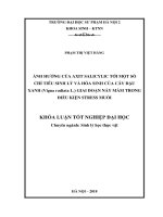 Nghiên cứu các nhân tố ảnh hưởng  đến hiệu quả tài chính của các công ty niêm yết trên thị trường  chứng khoán Thành phố Hồ Chí Minh