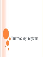 bai giang thuong mai dien tu ths vu manh cuong 9959