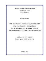 Ảnh hưởng của vật liệu AgNPs-CPDs đến sinh trưởng của dòng tế bào Escherichira Coli, Agrobacterium Rhizogenes và cây cẩm chướng in vitro