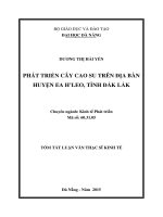 Phát triển cây cao su trên địa bàn Huyện EA H''LEO, Tỉnh Đăk Lắk (tt)