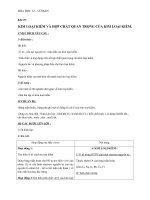 Giáo án Hóa học 12 bài 25: Kim loại kiềm và hợp chất quan trọng của kim loại kiềm