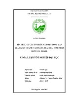 Tìm hiểu cơ cấu tổ chức và hoạt động sản xuất kinh doanh tại trang trại Uri, 50 Moshap Hatzava Israel (Khóa luận tốt nghiệp)