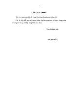 Hoàn thiện công tác quản lý thuế đối với doanh nghiệp có vốn đầu tư trực tiếp nước ngoài trên địa bàn thành phố đà nẵng 