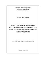 Phân tích hiệu quả tài chính của các công ty ngành thủy sản niêm yết trên thị trường chứng khoán việt nam  