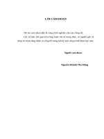 Phân tích hiệu quả hoạt động tại công ty cổ phần thương mại – du lịch – đầu tư cù lao chàm 