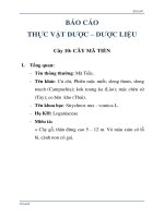 BÁO CÁO THỰC VẬT DƯỢC  DƯỢC LIỆU MÃ TIỀN