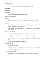 Giáo án Hóa học 12 bài 43: Hóa học và các vấn đề phát triển kinh tế