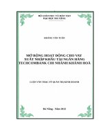 Mở rộng hoạt động cho vay xuất nhập khẩu tại ngân hàng techcombank chi nhánh khánh hòa 