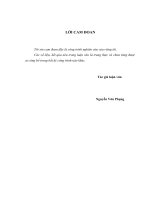 Hoàn thiện phân cấp nguồn thu, nhiệm vụ chi ngân sách địa phương trên địa bàn thành phố đà nẵng 