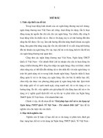 Giải pháp hạn chế rủi ro tín dụng tại ngân hàng TMCP quốc tế việt nam, chi nhánh đăk lăk 