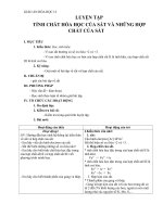 Giáo án Hóa học 12 bài 37: Luyện tập Tính chất hóa học của sắt và hợp chất của sắt