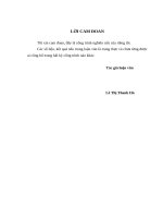 Giải pháp hạn chế rủi ro tín dụng trong cho vay xây lắp tại chi nhánh ngân hàng đầu tư và phát triển đà nẵng 