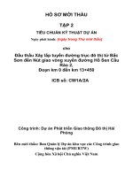 Chỉ dẫn kỹ thuật cầu dây văng nhịp lớn - Cầu Dầm thép liên hợp - Dự án ODA Phần Lan