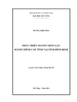 Phát triển nguồn nhân lực hành chính cấp tỉnh tại tỉnh bình định 