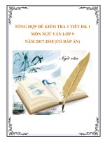 Tổng hợp đề kiểm tra 1 tiết HK 1 môn Ngữ Văn lớp 9 năm 20172018 có đáp án