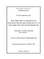 Phát triển cho vay tiêu dùng tại ngân hàng TMCP đầu tư và phát triển việt nam chi nhánh đăk lăk 