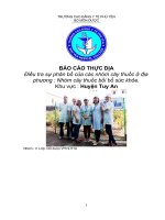 Điều tra sự phân bố của các nhóm cây thuốc ở địa phương : Nhóm cây thuốc bồi bổ sức khỏe.