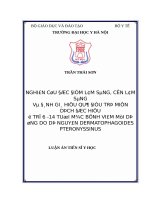 Nghiên cứu đặc điểm lâm sàng, cận lâm sàng và đánh giá hiệu quả điều trị miễn dịch đặc hiệu ở trẻ 6   14 tuổi mắc bệnh VMDƯ do dị nguyên dermatophagoides pteronyssinus 