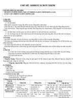 GIÁO ÁN CHỦ ĐỀ BENZEN VÀ ANKYLBENZEN THEO CV 1790