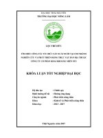 Tìm hiểu công tác tổ chức sản xuất bưởi tại chi nhánh nghiên cứu và phát trển động thực vật bản địa công ty cổ phần khai khoáng miền núi 