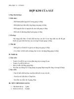 Giáo án Hóa học 12 bài 33: Hợp kim của sắt