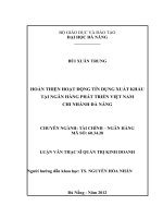 Hoàn thiện hoạt động tín dụng xuất khẩu tại ngân hàng phát triển việt nam chi nhánh đà nẵng 