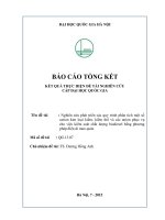 Nghiên cứu phát triển các quy trình phân tích một số cation kim loại kiềm, kiềm thổ và các anion phục vụ cho việc kiểm soát chất lượng biodiesel bằng phương pháp điện di mao quản 