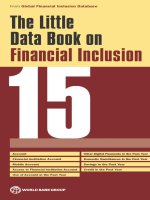 The little data book on financial inclusion 