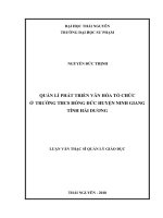 Quản lí phát triển văn hóa tổ chức ở trường Trung học Cơ sở Hồng Đức huyện Ninh Giang tỉnh Hải Dương (Luận văn thạc sĩ)