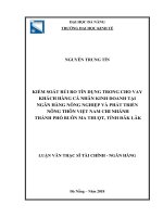 Kiểm soát rủi ro tín dụng trong cho vay khách hàng cá nhân kinh doanh tại ngân hàng nông nghiệp và phát triển nông thôn việt nam – chi nhánh thành phố buôn ma thuột, tỉnh đăk lăk 