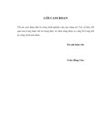 Hoạch định chiến lược xuất khẩu thuỷ sản của công ty chế biến và xuất khẩu thuỷ sản thọ quang 