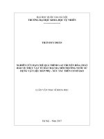 Nghiên cứu hạn chế quá trình lan truyền của hóa chất bảo vệ thực vật từ đất mặt ra môi trường nước sử dụng vật liệu hấp phụ   xúc tác trên cơ sở zno 