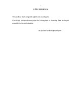 Nghiên cứu động cơ sử dụng dịch vụ internet banking của người tiêu dùng tại thành phố đà nẵng 