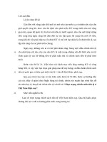 tiểu luận Kinh tế vi mô