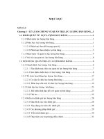 Quản trị lực lượng bán hàng trên thị trường đà nẵng của công ty bia việt nam 