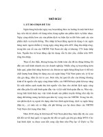 Phát triển dịch vụ bảo lãnh ngân hàng tại chi nhánh NHNoPTNT tp đà nẵng 