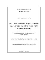 Phát triển thương hiệu sản phẩm săm lốp DRC tại công ty cổ phần cao su đà nẵng  